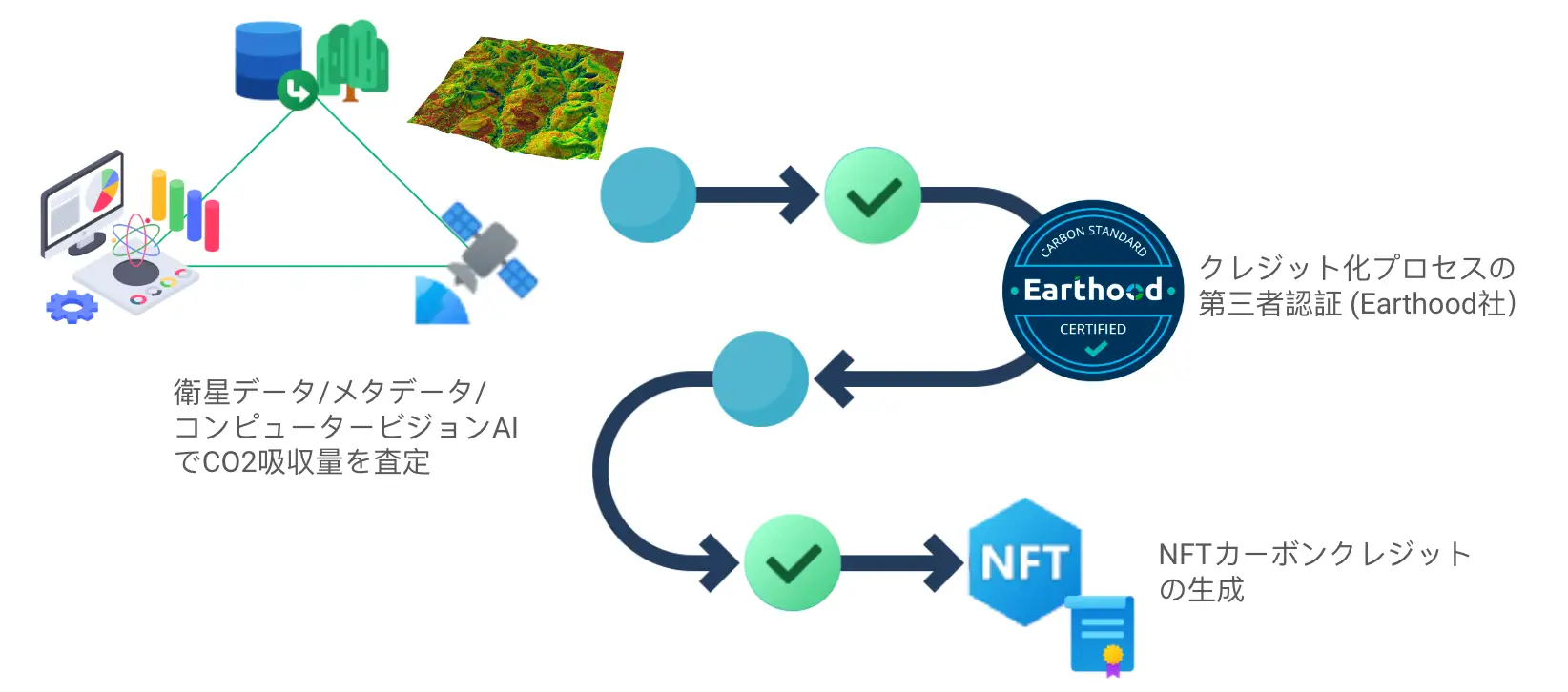 Tepco thực nghiệm tạo tín chỉ các bon NFT tại Việt Nam